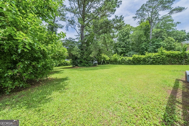 4732 Manly Ct, Stone Mountain, GA 30088 - view of green lawn
