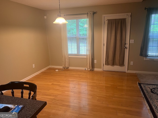 5327 Yoshino Ter, Powder Springs, GA 30127 - unfurnished dining area featuring healthy amount of natural light and light wood-style floors