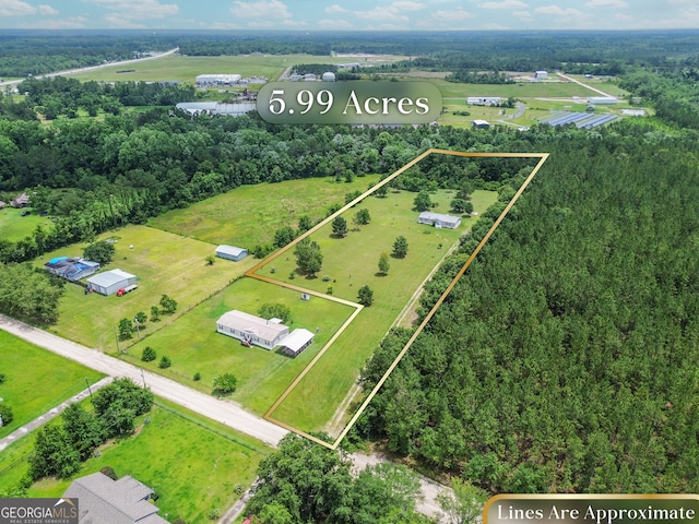 6162 Ayrin Brooke Ln, Blackshear, GA 31516 - aerial view of property's location with property parcel outlined and a heavily wooded area