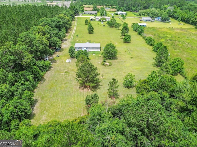 6162 Ayrin Brooke Ln, Blackshear, GA 31516 - aerial view of sparsely populated area