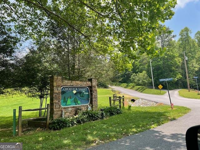 326 Choestoe Valley Cir Unit L 37, Blairsville, GA 30512 - view of home's community with a lawn