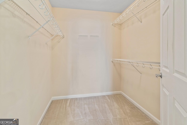 140 Rehobeth Way, Fayetteville, GA 30214 - walk in closet featuring light colored carpet