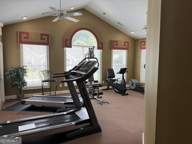 140 Rehobeth Way, Fayetteville, GA 30214 - workout area with ceiling fan, vaulted ceiling, and carpet floors