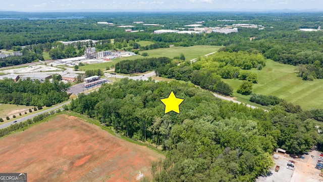 4611 Thurmon Tanner Rd, Flowery Branch, GA 30542