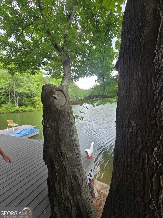 1151 Twin Mountain Lakes Cir, Talking Rock, GA 30175 - dock featuring a water view