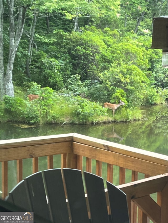 1151 Twin Mountain Lakes Cir, Talking Rock, GA 30175 - exterior space with a forest