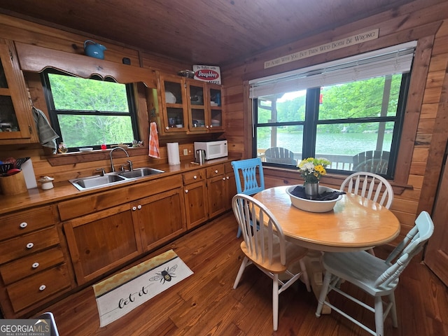 1151 Twin Mountain Lakes Cir, Talking Rock, GA 30175 - dining area featuring healthy amount of natural light, wooden walls, wood finished floors, and wood ceiling
