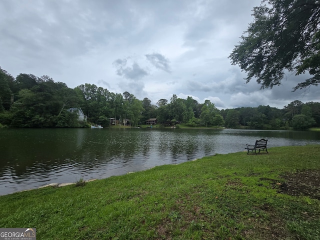 1151 Twin Mountain Lakes Cir, Talking Rock, GA 30175 - water view with a forest