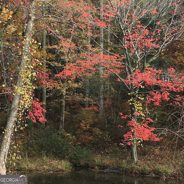 1151 Twin Mountain Lakes Cir, Talking Rock, GA 30175 - view of tree filled area