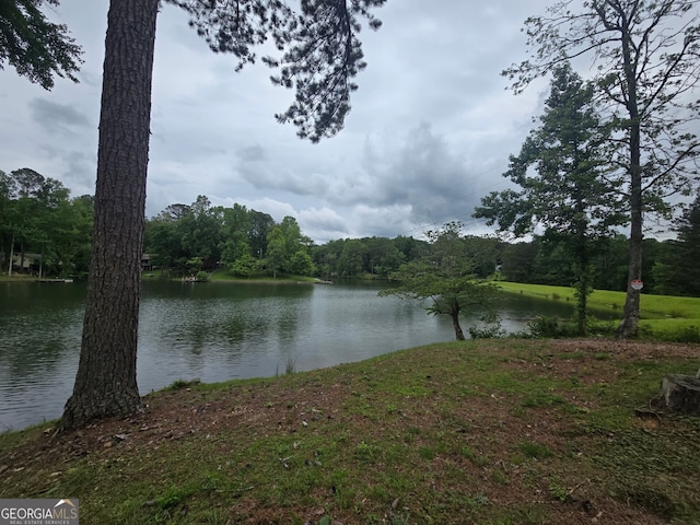 1151 Twin Mountain Lakes Cir, Talking Rock, GA 30175 - water view