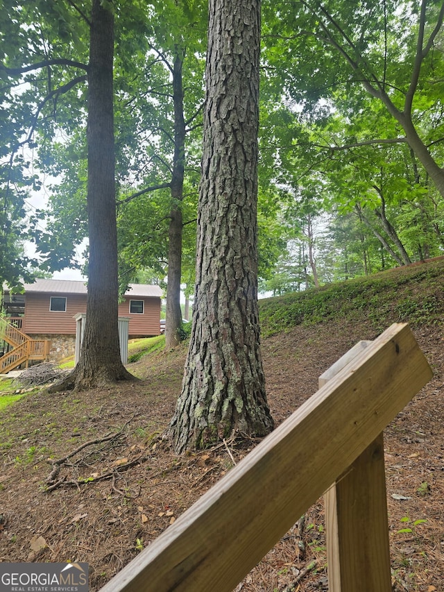 1151 Twin Mountain Lakes Cir, Talking Rock, GA 30175 - view of yard