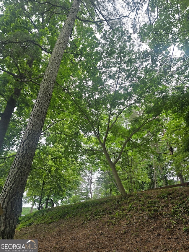 1151 Twin Mountain Lakes Cir, Talking Rock, GA 30175 - view of local wilderness