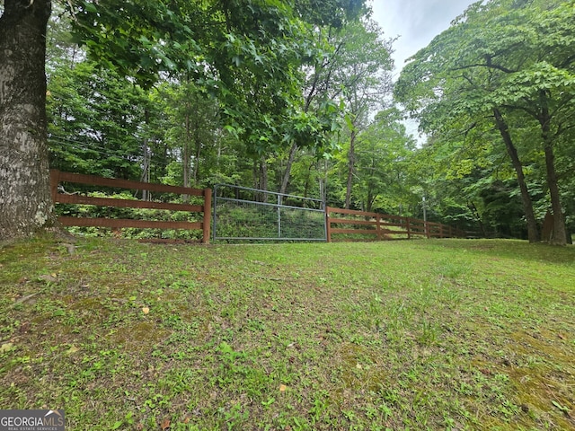 1151 Twin Mountain Lakes Cir, Talking Rock, GA 30175 - view of yard featuring a wooded view
