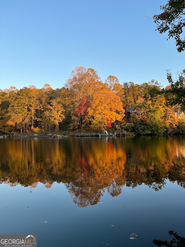 1151 Twin Mountain Lakes Cir, Talking Rock, GA 30175 - water view with a heavily wooded area
