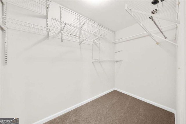 3607 Archgate Ct, Alpharetta, GA 30004 - spacious closet with carpet