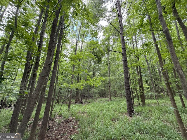 6 Cedar Crk, Elberton, GA 30635