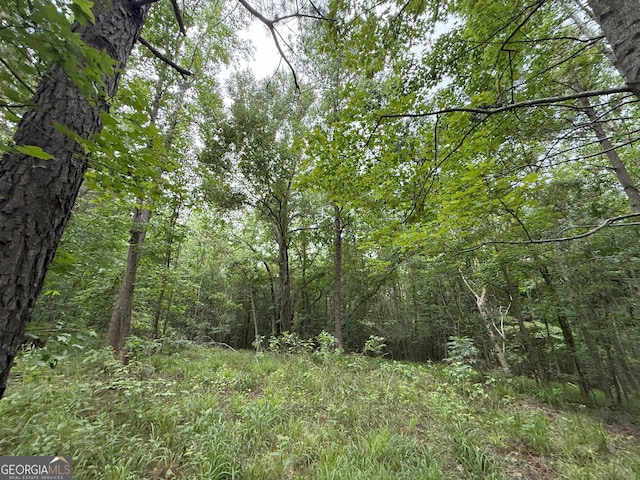 6 Cedar Crk, Elberton, GA 30635