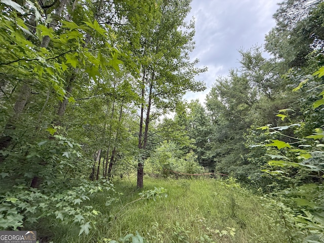 6 Cedar Crk, Elberton, GA 30635
