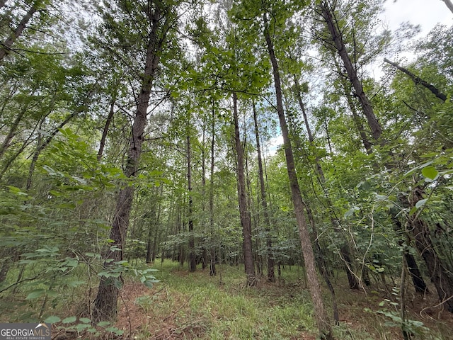 6 Cedar Crk, Elberton, GA 30635