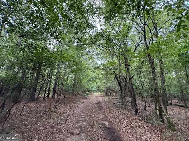6 Cedar Crk, Elberton, GA 30635
