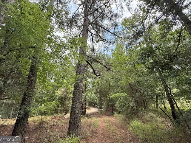 6 Cedar Crk, Elberton, GA 30635