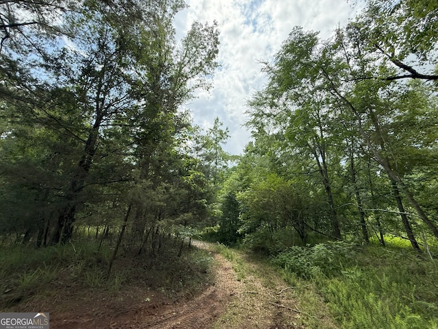 6 Cedar Crk, Elberton, GA 30635
