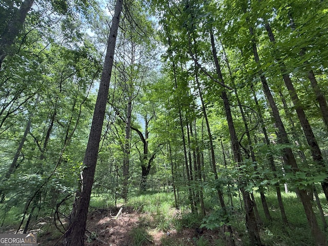 6 Cedar Crk, Elberton, GA 30635