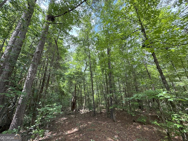 6 Cedar Crk, Elberton, GA 30635