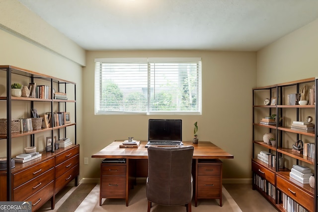 4669 Birch Ridge Trl, Stone Mountain, GA 30083 - home office with baseboards