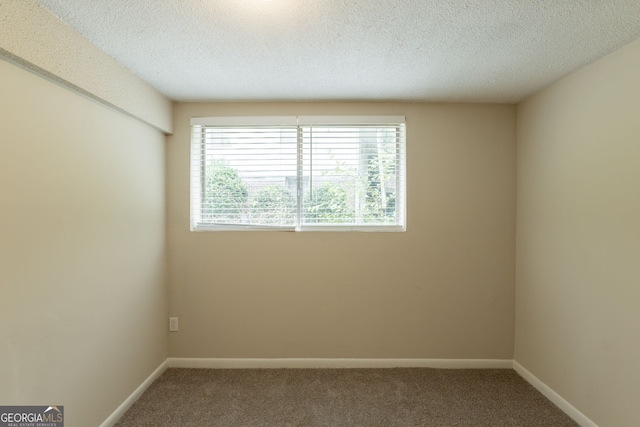 4669 Birch Ridge Trl, Stone Mountain, GA 30083 - unfurnished room featuring carpet floors and a textured ceiling