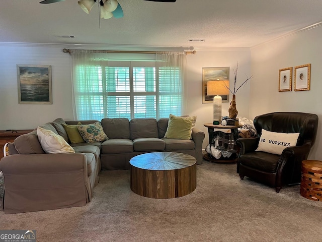 507 S College St, Metter, GA 30439 - carpeted living area featuring ornamental molding and a ceiling fan