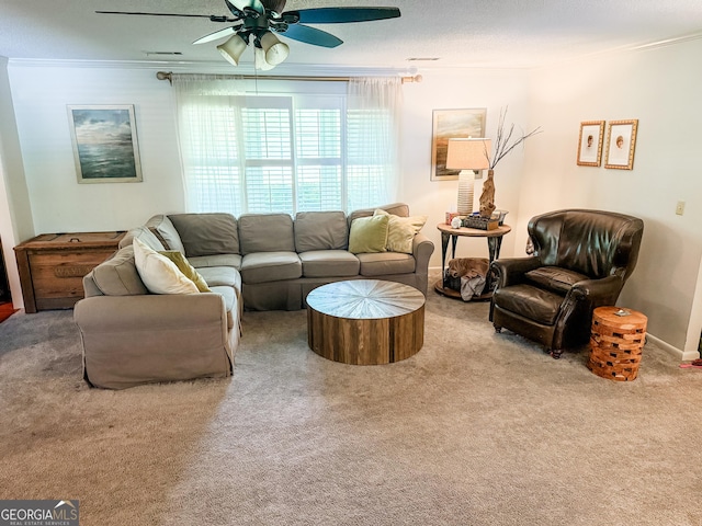 507 S College St, Metter, GA 30439 - carpeted living area with ornamental molding and ceiling fan