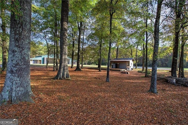 1195 Grady Rd, Rockmart, GA 30153 - view of yard