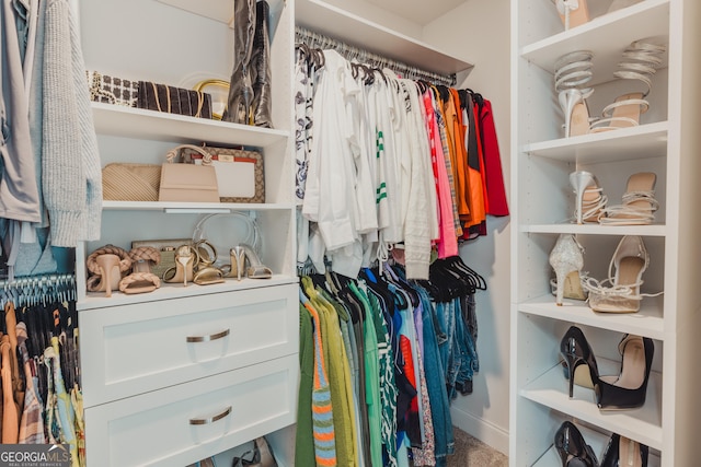 82 Castlemoor Loop, Adairsville, GA 30103 - view of spacious closet