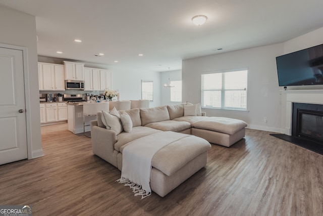 82 Castlemoor Loop, Adairsville, GA 30103 - living area with wood finished floors, a glass covered fireplace, and recessed lighting