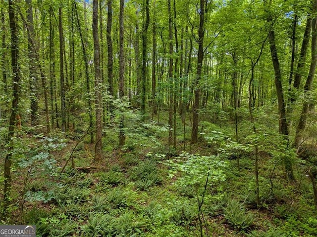 0 Worley Rd, Ball Ground, GA 30107