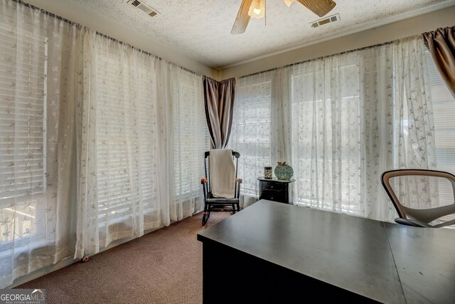 637 Lakeview Dr, Newborn, GA 30056 - carpeted office featuring healthy amount of natural light, a ceiling fan, and a textured ceiling