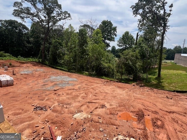 2753 S Waterworks Rd, Buford, GA 30518 - view of local wilderness