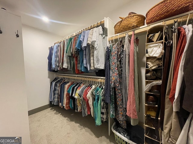 400 Mulberry Cir, Jasper, GA 30143 - walk in closet with carpet