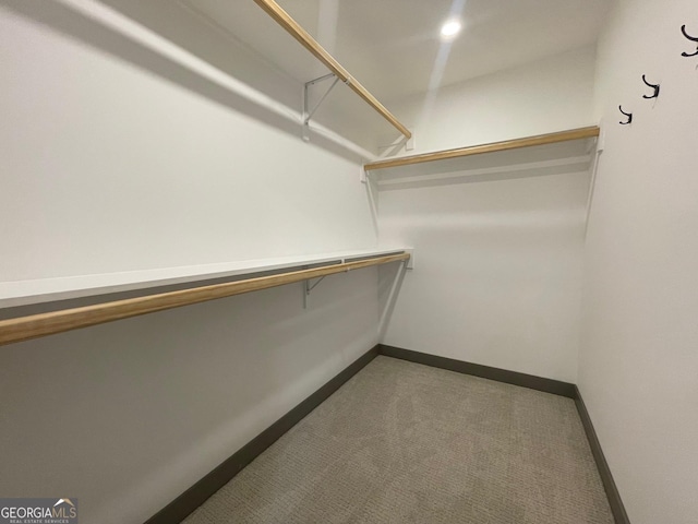 400 Mulberry Cir, Jasper, GA 30143 - walk in closet featuring carpet floors