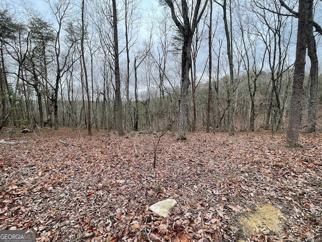 400 Mulberry Cir, Jasper, GA 30143 - view of tree filled area