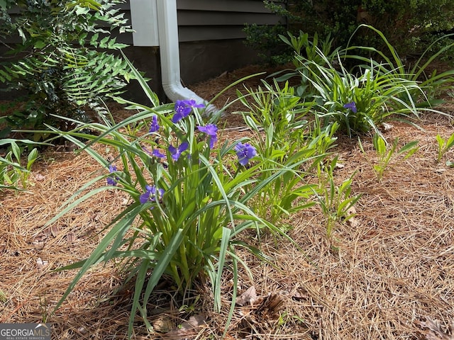 400 Mulberry Cir, Jasper, GA 30143 - exterior view