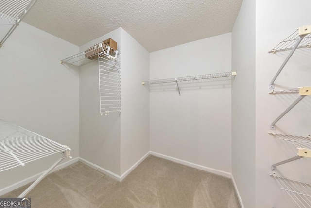 405 W Leslie Ct, Woodstock, GA 30188 - spacious closet with carpet