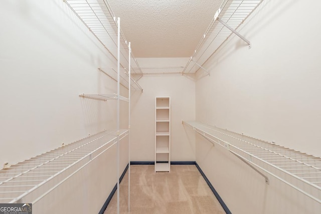 405 W Leslie Ct, Woodstock, GA 30188 - walk in closet with light colored carpet