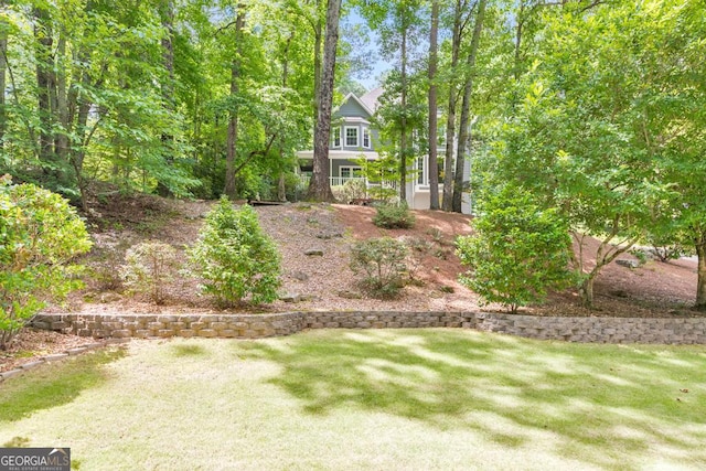 405 W Leslie Ct, Woodstock, GA 30188 - view of green lawn