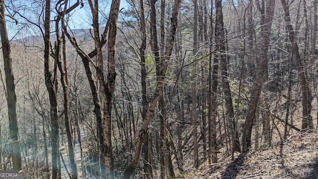0LOT237 Covered Bridge Ln Unit 237, Sky Valley, GA 30537