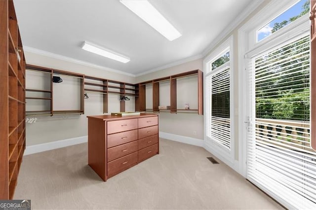 9005 Old Southwick Pass, Alpharetta, GA 30022 - spacious closet with light colored carpet