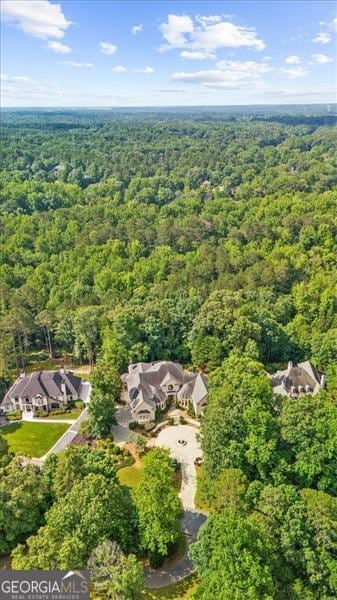 9005 Old Southwick Pass, Alpharetta, GA 30022 - drone / aerial view of a heavily wooded area