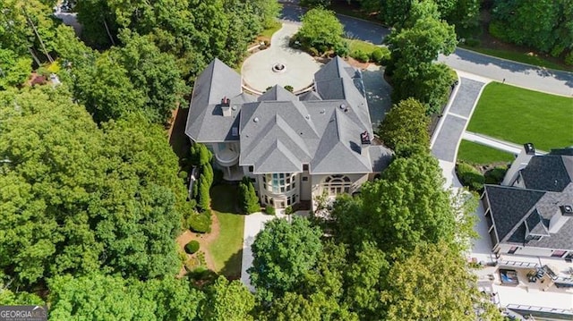 9005 Old Southwick Pass, Alpharetta, GA 30022 - view from above of property
