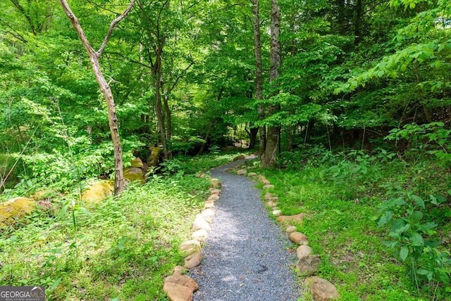 336 6th St, Ellijay, GA 30540 - view of road with a wooded view